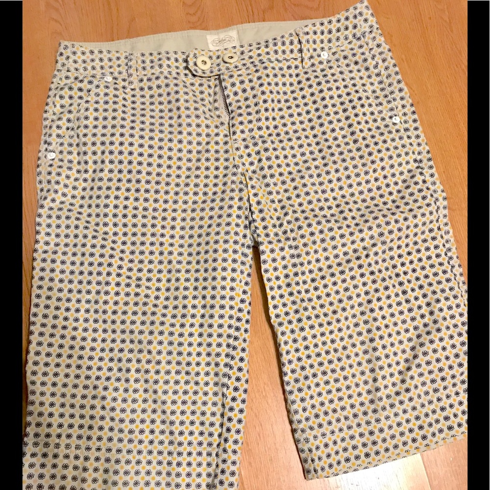 Anthropologie Cidra Bermuda Shorts-like new!